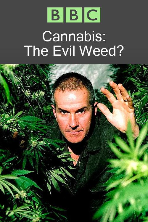 Cannabis: The Evil Weed? 2009 official movie poster