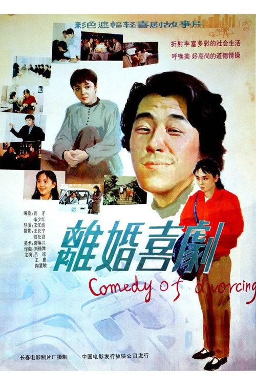 Comedy of Divorce 1992 official movie poster