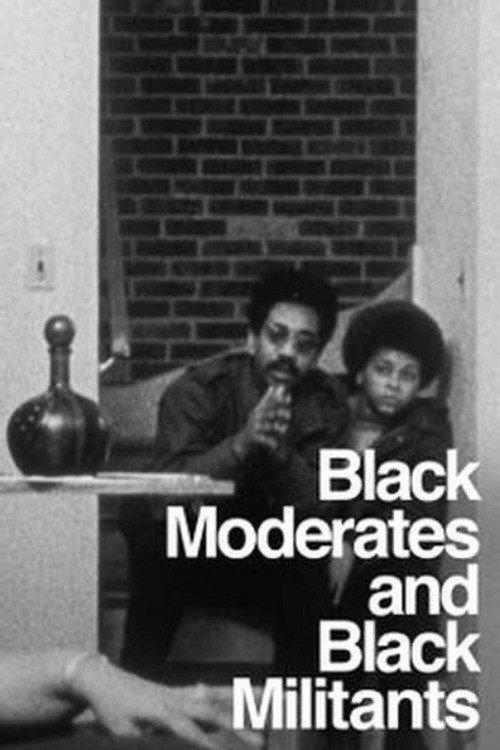 The Urban Crisis and the New Militants: Module 6 - Black Moderates and Black Militants 1969 official movie poster