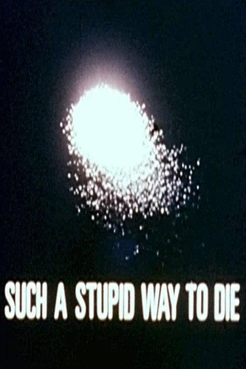Such a Stupid Way to Die 1971 official movie poster
