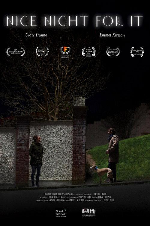Nice Night for It 2017 official movie poster