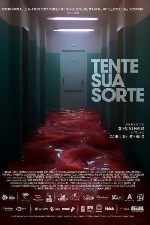 Tente Sua Sorte 2026 official movie poster