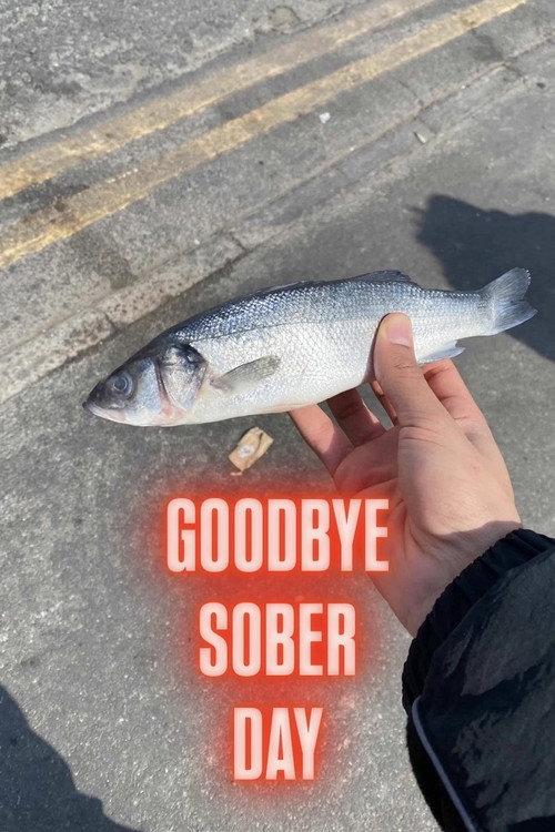 Goodbye Sober Day 2026 official movie poster