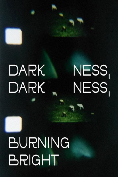 Darkness, Darkness, Burning Bright 2022 official movie poster