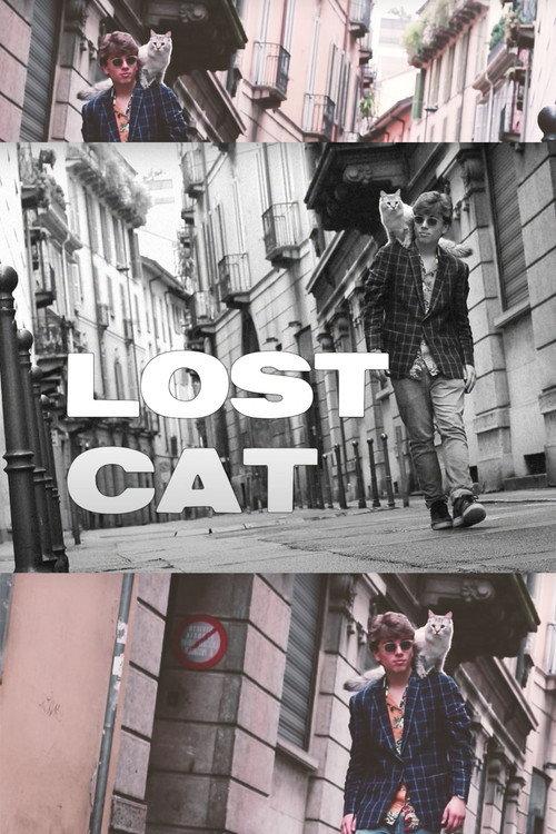 Lost Cat 2019 official movie poster