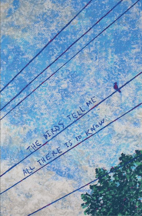 The Birds Tell Me All There Is To Know 2025 official movie poster