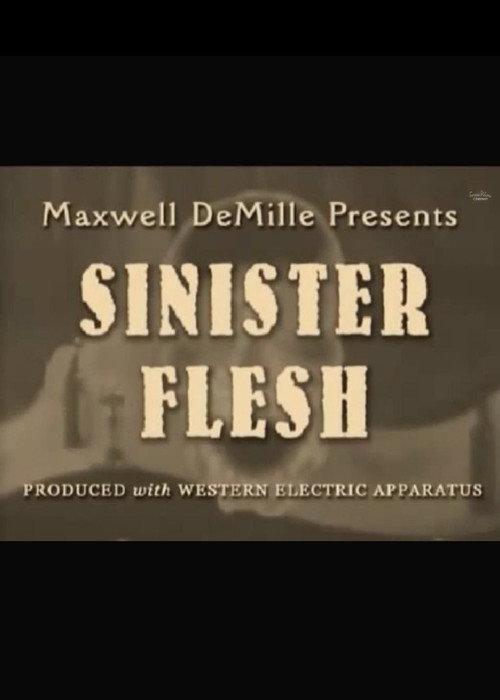 Sinister Flesh 1976 official movie poster