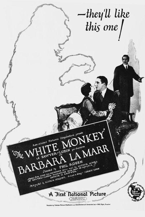 The White Monkey 1925 official movie poster