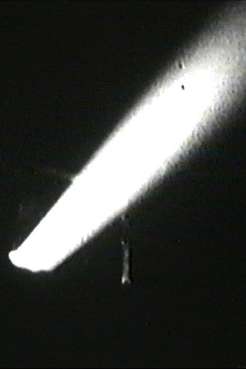 Audio and Visual Experiment 19 2024 official movie poster