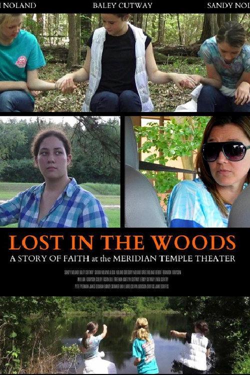 Lost in the Woods 2017 official movie poster