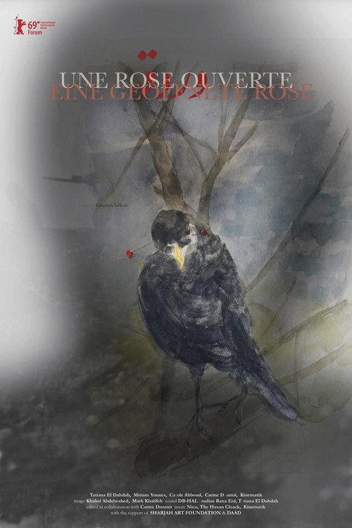 An Open Rose 2019 official movie poster