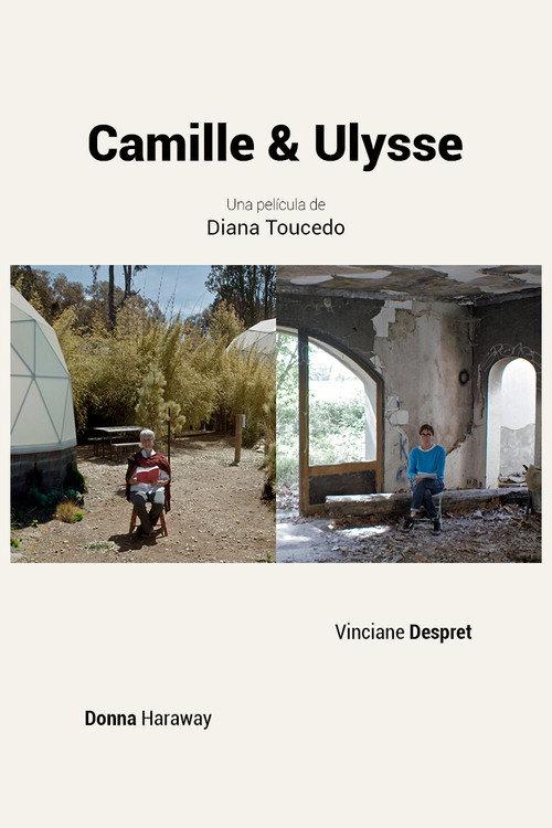 Camille & Ulysse 2021 official movie poster