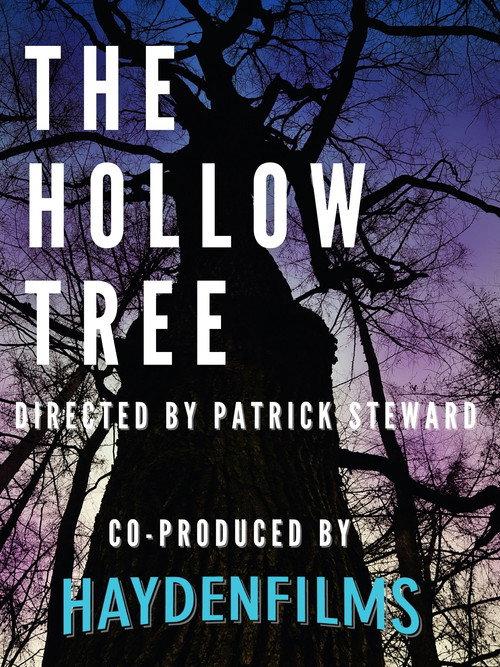 The Hollow Tree 2008 official movie poster