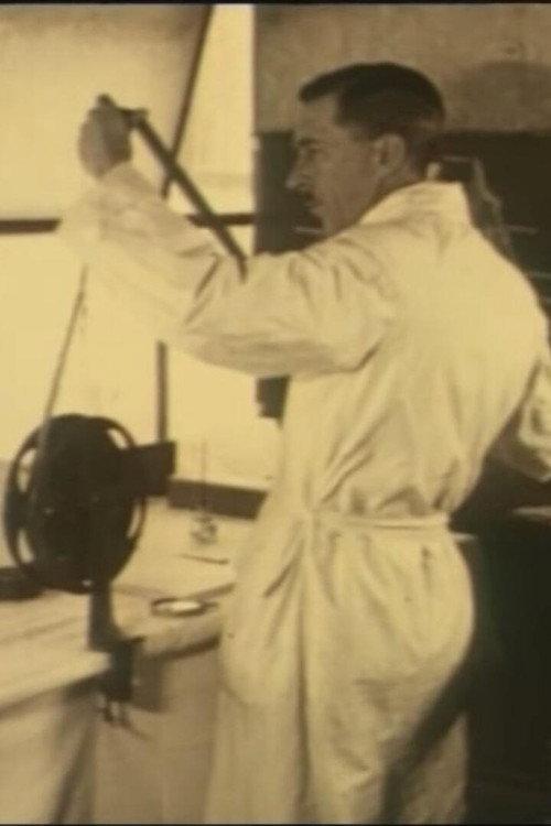 Telling the World 1929 official movie poster