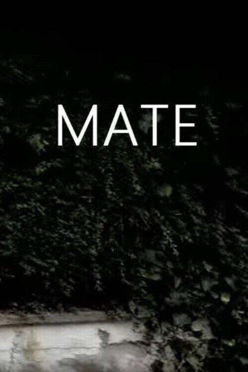 Mate 2012 official movie poster