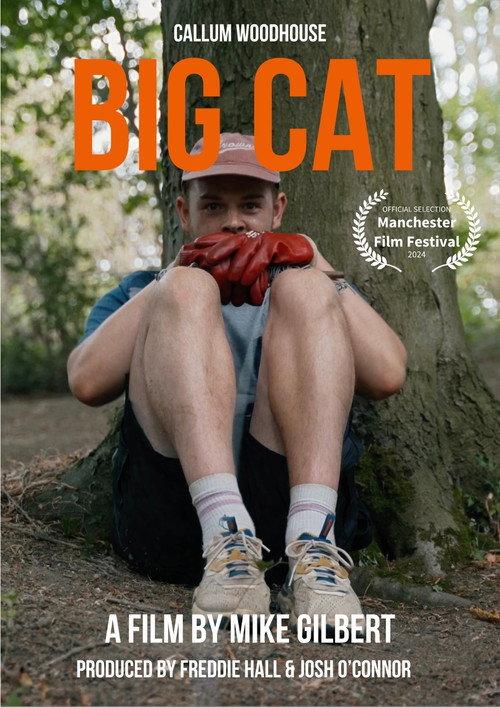 Big Cat 2024 official movie poster