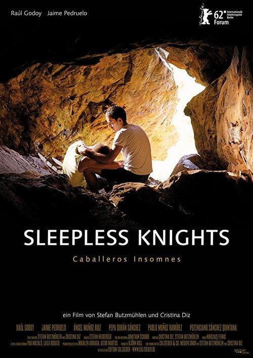 Sleepless Knights 2012 official movie poster
