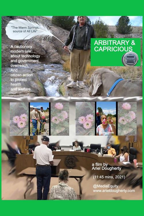 Arbitrary & Capricious 2022 official movie poster