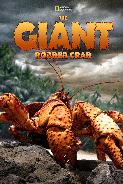 The Giant Robber Crab 2019 official movie poster