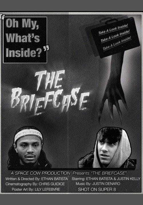 THE BRIEFCASE 2022 official movie poster