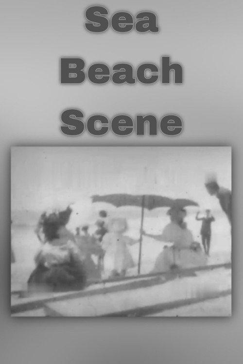 Sea Beach Scene 1896 official movie poster