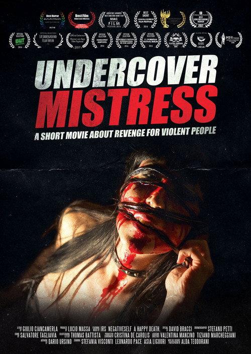 Undercover Mistress 2016 official movie poster