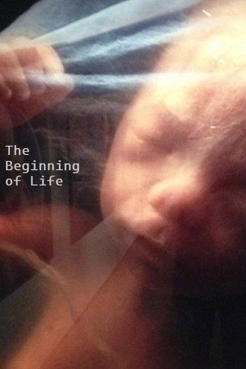 The Beginning of Life 1968 official movie poster
