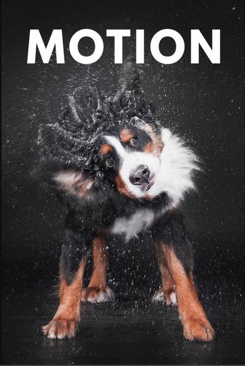 Motion 2017 official movie poster