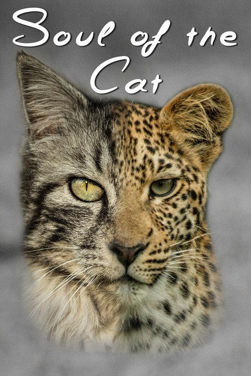 Soul of The Cat 2017 official movie poster