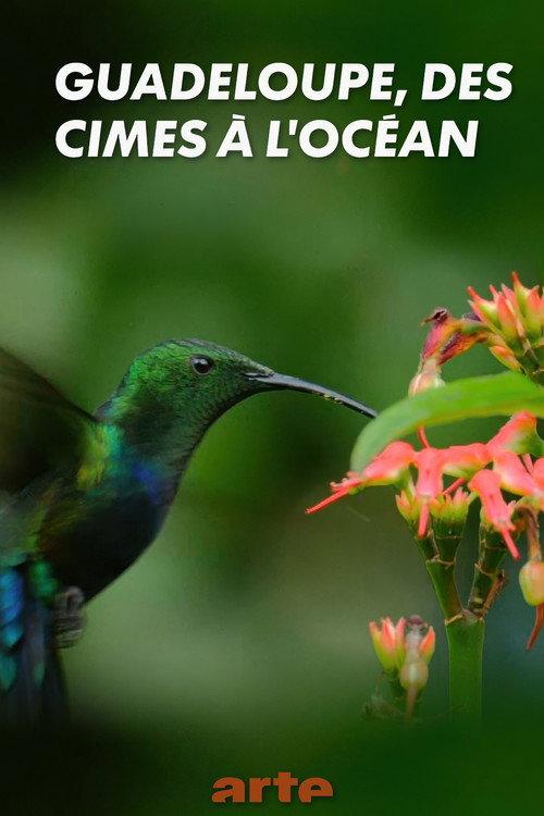 Guadeloupe, from Summits to Ocean 2019 official movie poster