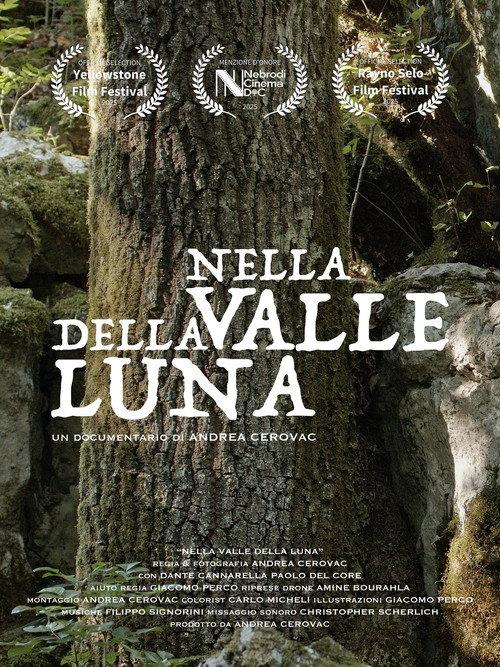 Nella Valle della Luna 2026 official movie poster