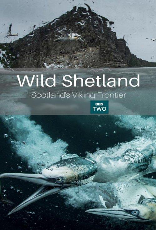 Wild Shetland: Scotland's Viking Frontier 2019 official movie poster