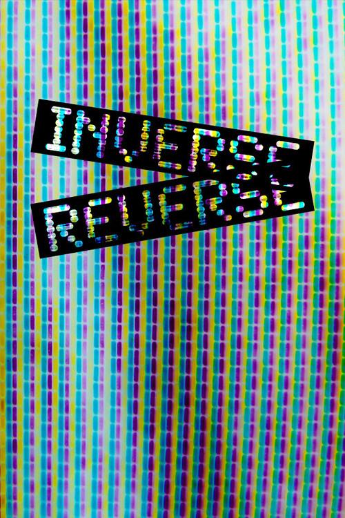 Inverse Reverse 2010 official movie poster