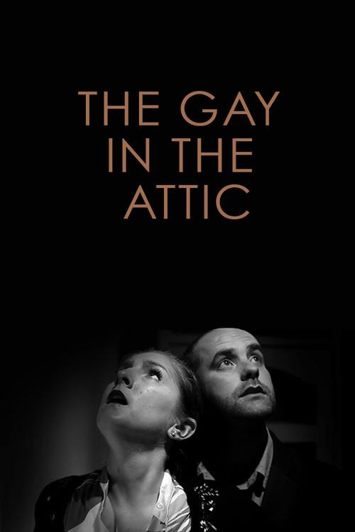 The Gay in the Attic 2011 official movie poster