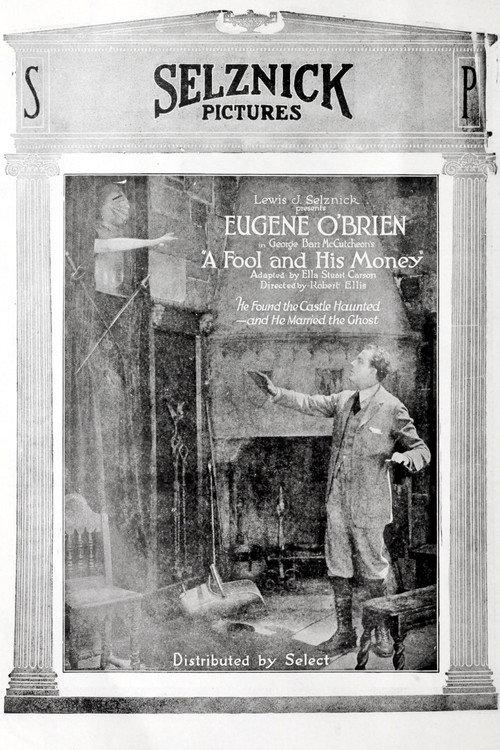 A Fool and His Money 1920 official movie poster