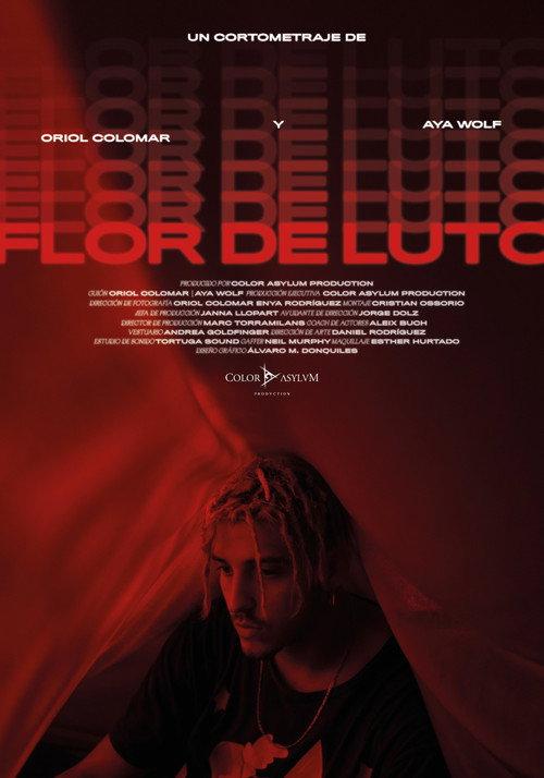 Flor de Luto 2020 official movie poster
