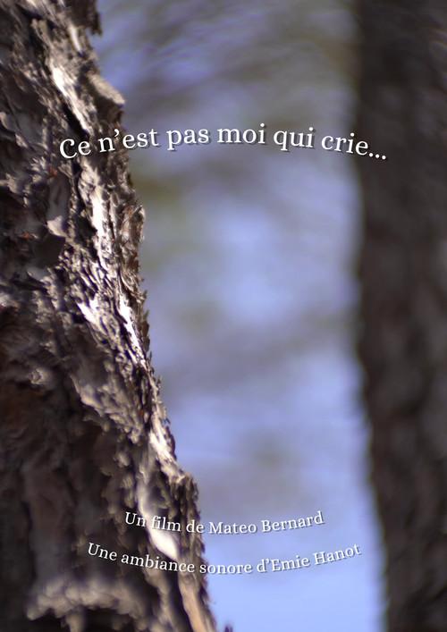 Ce n'est pas moi qui crie... 2026 official movie poster