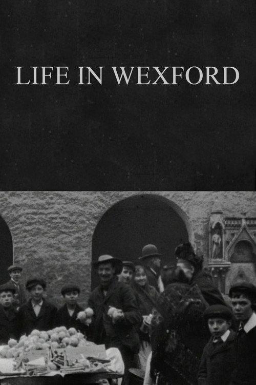 Life in Wexford 1902 official movie poster