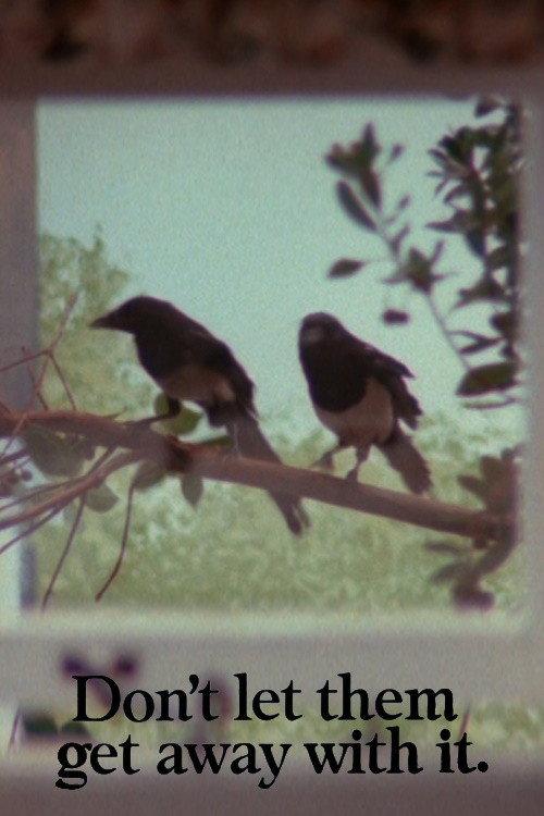 Magpies 1984 official movie poster