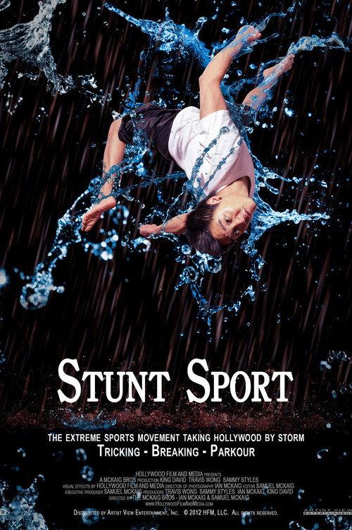Stunt Sport 2014 official movie poster
