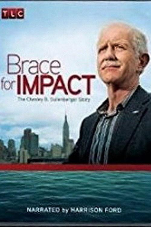 Brace for Impact: The Chesley B. Sullenberger Story 2010 official movie poster