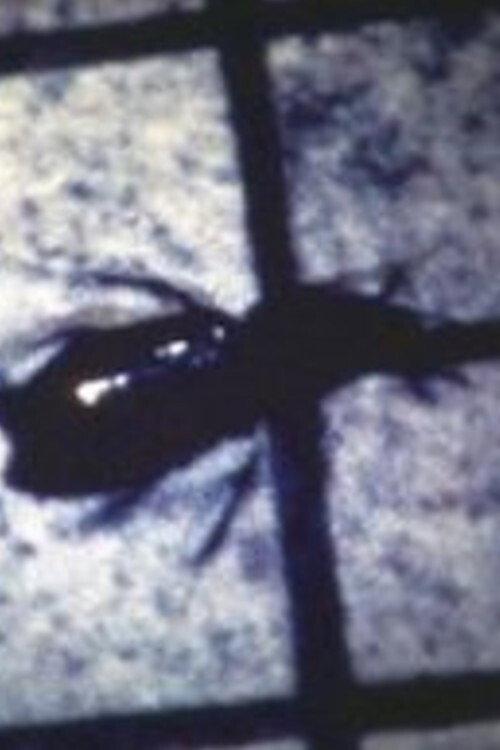 INSECT 1983 official movie poster