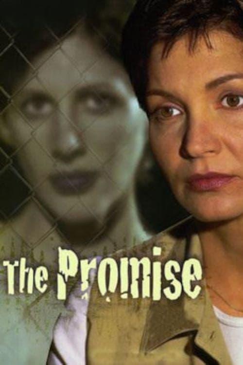 The Promise 1999 official movie poster