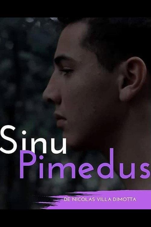 Sinu Pimedus 2019 official movie poster