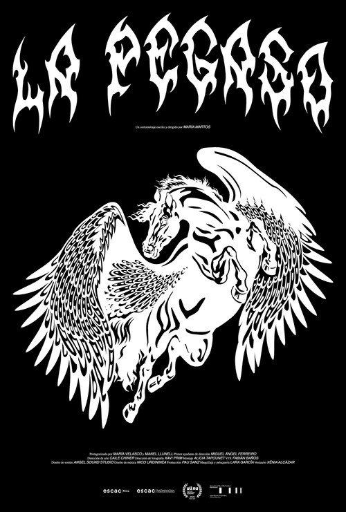 La Pegaso 2026 official movie poster