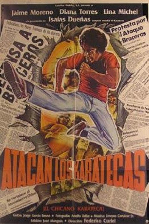 Atacan los karatecas 1977 official movie poster