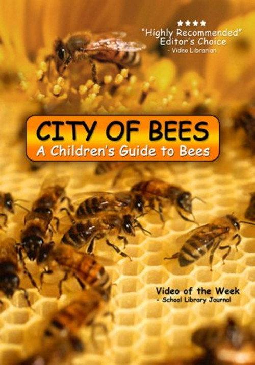 City of Bees 2007 official movie poster