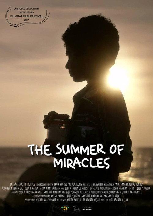 The Summer of Miracles 2017 official movie poster