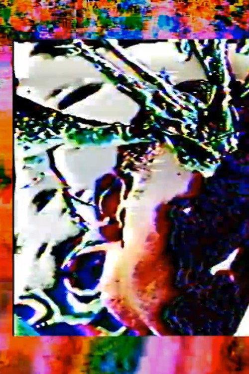 Flesh Intolerance: Final Transmission For Terrestrial Vertical Incarceration (A hyperstition) 2019 official movie poster