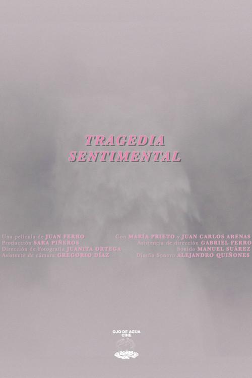 A Sentimental Tragedy 2025 official movie poster